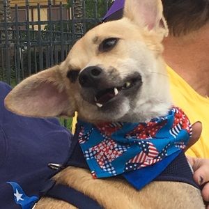 Meet your Posher, Sabrina